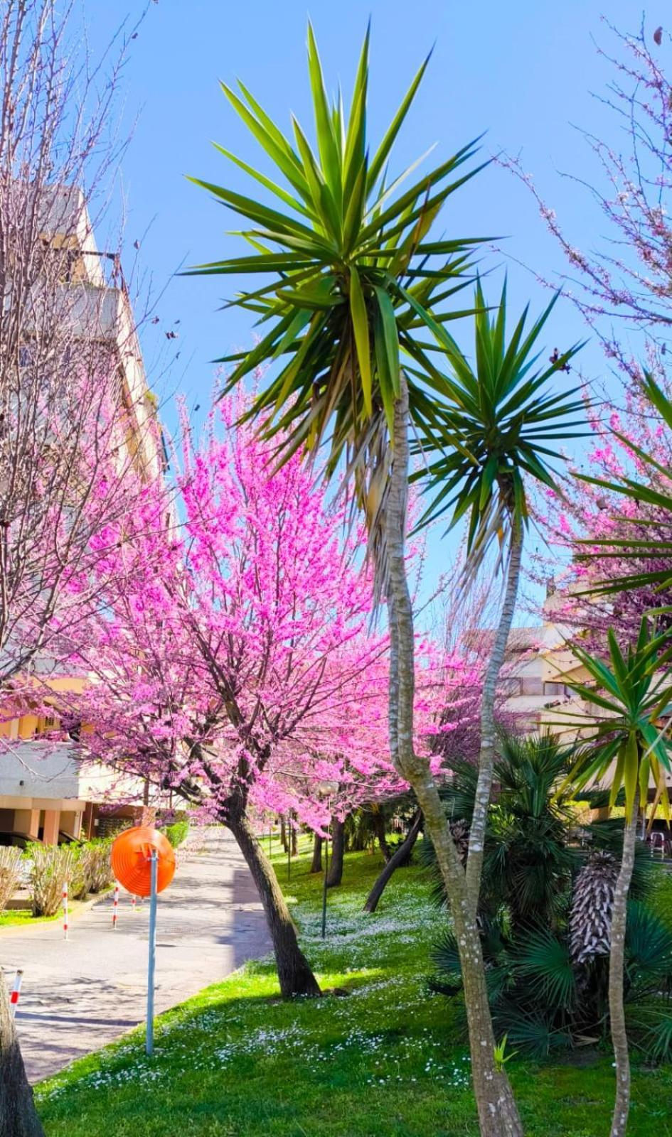 Vitinia Rome Sweet Home מראה חיצוני תמונה
