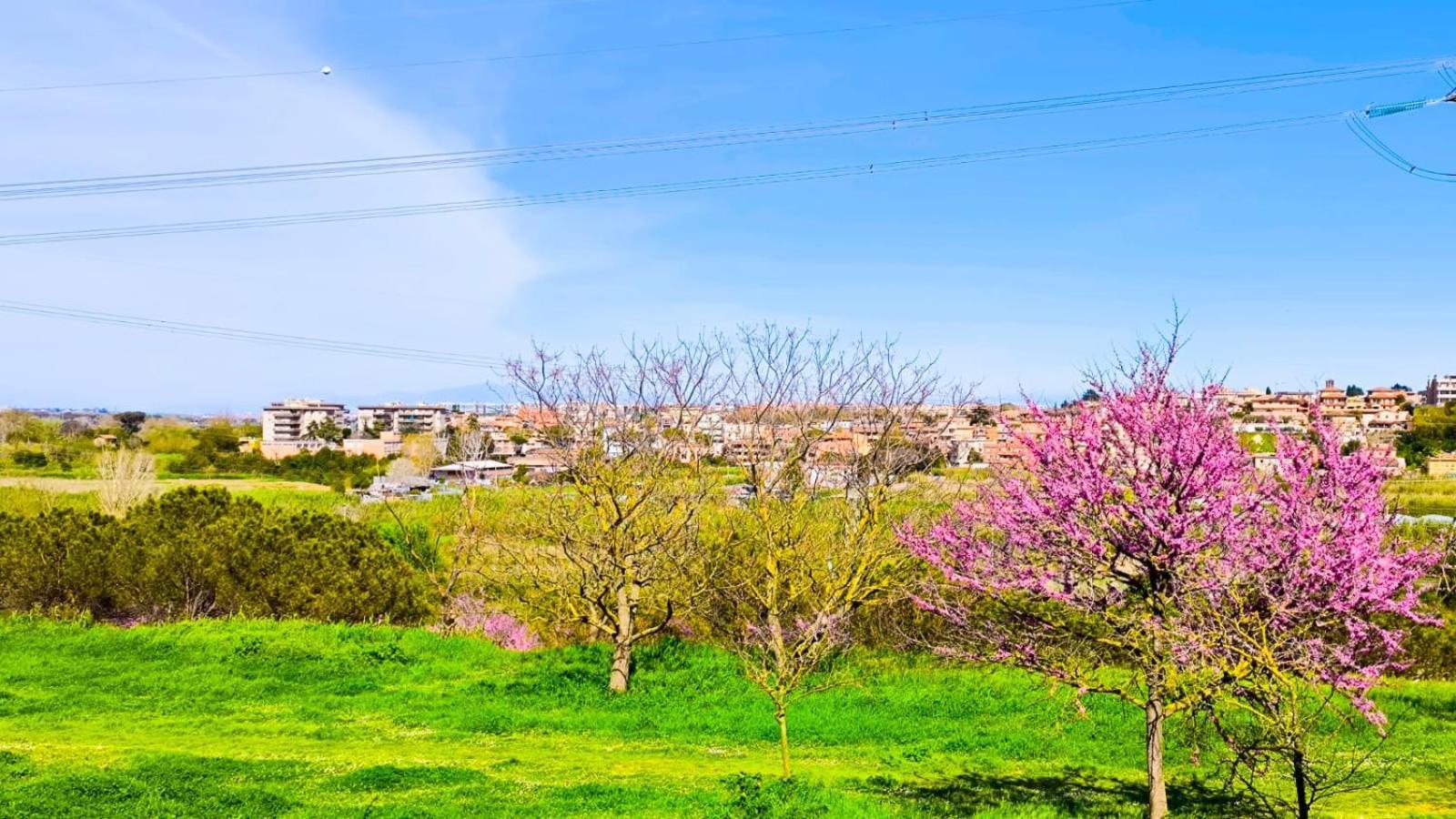 Vitinia Rome Sweet Home מראה חיצוני תמונה
